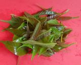 Foto langkah ke 1 dari resep Sayur bening daun /pucuk kedondong pagar.