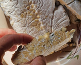 Foto del paso 1 de la receta: Tempeh