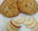 A picture of step 20 of Apple cages.