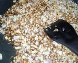 A picture of step 5 of Potato Onion Fry.