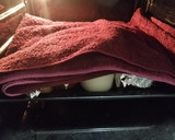 Foto del paso 6 de la receta: Yogurt tipo griego casero de limón
