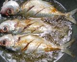 Foto langkah ke 3 dari resep (Hanya) ikan kembung goreng.