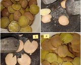 Foto langkah ke 1 dari resep Semur jengkol pedas manis.
