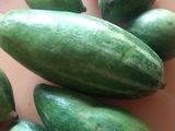 परवल की सब्जी (Parwal ki sabzi recipe in Hindi)