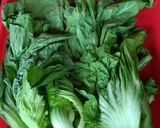 Foto langkah ke 1 dari resep Sayur asin olahan sendiri (hamcoy).