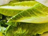 Spicy 🌶️ Shrimp 🍤 Lettuce 🥬 Salad