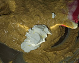 Foto del paso 3 de la receta: Paté de mejillones picante