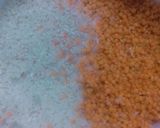 A picture of step 1 of Chapri (Rice Lentil Spicy Pancake).