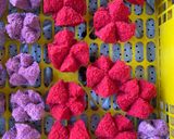 Foto langkah ke 5 dari resep Bolu kukus mekar.