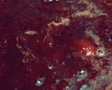 A picture of step 4 of Fresh plum chutney.