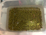 6. Jus Kacang Hijau Less Sugar