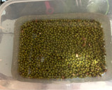 Foto langkah ke 2 dari resep 6. Jus Kacang Hijau Less Sugar.