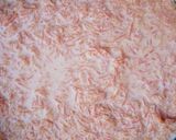 A picture of step 8 of Tricolor special Carrot Halwa.