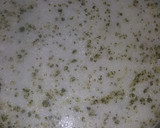 Foto del paso 6 de la receta: Sopa de yogurt al estilo turco