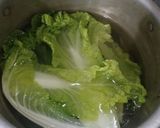 Foto langkah ke 1 dari resep 37. Cabbage Spring Roll.