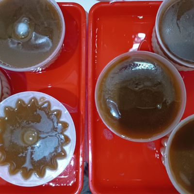 Langkah 7