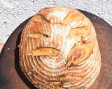 Foto del paso 7 de la receta: Proyecto MASA MADRE