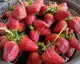 A picture of step 1 of Frozen strawberry.