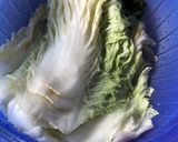 Foto langkah ke 4 dari resep Homemade Kimchi.