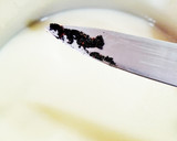 Foto del paso 2 de la receta: Panna cotta con coulis de arándanos
