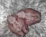 A picture of step 1 of Aatu Moolai Masala or Goat Brain Masala.