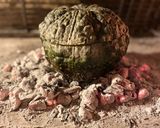 Foto del paso 4 de la receta: Calabaza rellena con carne, a las brasas