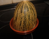 Foto del paso 8 de la receta: Bocadillo de lechuga