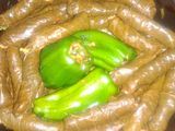 محشي ورق عنب