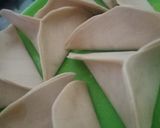 Foto langkah ke 3 dari resep Chicken dumpling/gyoza.