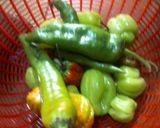 A picture of step 2 of Ofada Sauce 2.