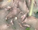 Foto langkah ke 2 dari resep Daging sapi balafo.