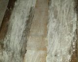 Foto del paso 3 de la receta: Ravioles integrales