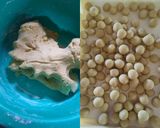 Foto langkah ke 3 dari resep Bubur Biji Salak Ubi Kuning.