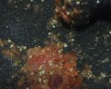 Foto langkah ke 2 dari resep Tumis Udang Brokoli Super Pedas.