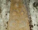 Foto del paso 4 de la receta: Ravioles integrales