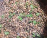 A picture of step 4 of Qeema phaliyan(Rawan phali) ya beans with mutton qeema.