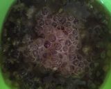 Foto langkah ke 2 dari resep Bubur kacang hijau sagu mutiara.