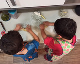 Foto del paso 2 de la receta: Massa per Pizzes del Bartolí