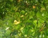 बथुऐ का साग(Bathue ka saag recipe in Hindi) रेसिपी चरण 3 फोटो