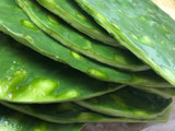 Cactus with Egg (Nopales con Huevo)10 #mommasrecipes