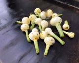 Une image de l'étape 8 de Noix de saint Jacques aux petits oignons blancs.