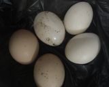 Hình bước làm 1 của món Trứng gà đổ ốp-la và xúc xích bò