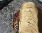 Foto del paso 3 de la receta: Tarta de manzana y queso