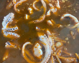 Foto del paso 5 de la receta: Cassola de Fideus Amb Pop i Llamàntol (fideos a la Cazuela con Pulpo i Bogavante)