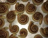 صورة لخطوة 6 من وصفة سينامون رولز 🍩🍪