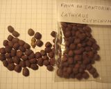 Foto del passaggio 15 della ricetta 119 • Faba greca con cipolle caramellate all'aceto balsamico e pinoli 🇬🇷