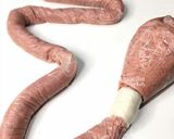 Foto langkah ke 3 dari resep Homemade Chicken Bratwurst.