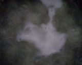 Foto langkah ke 4 dari resep Klepon.