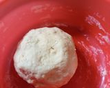 Foto langkah ke 3 dari resep Bakpao (No Mixer).