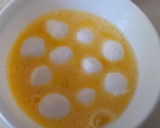 Foto del paso 5 de la receta: Crema de tomate -con mozzarella frita y pesto-